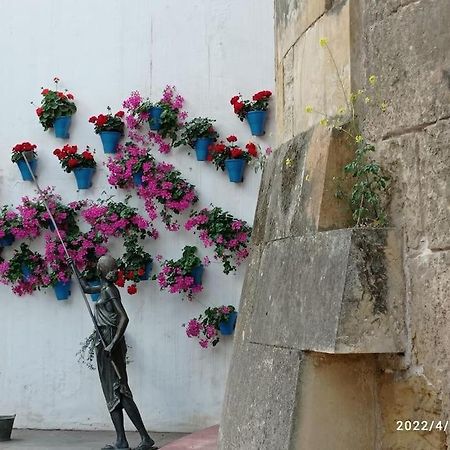 Precioso Loft En El Centro De Cordoba. Apartment Luaran gambar