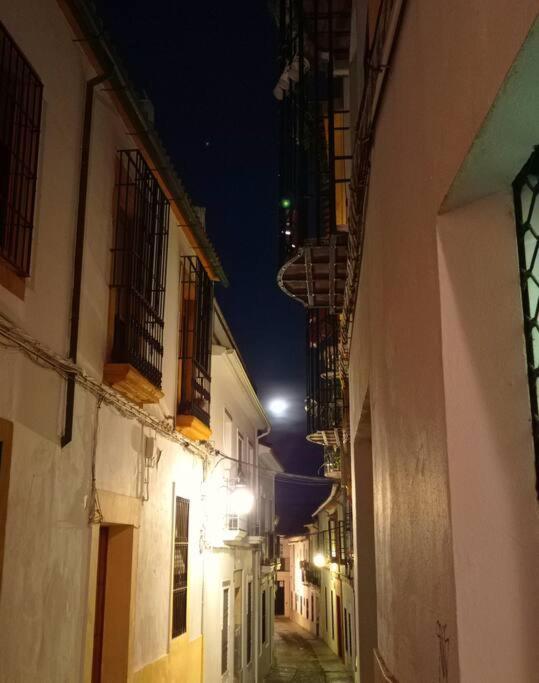 Precioso Loft En El Centro De Cordoba. Apartment Luaran gambar
