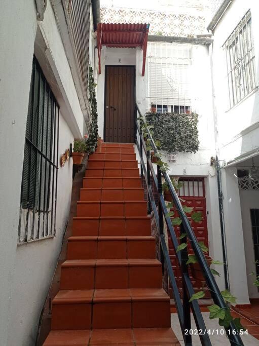 Precioso Loft En El Centro De Cordoba. Apartment Luaran gambar